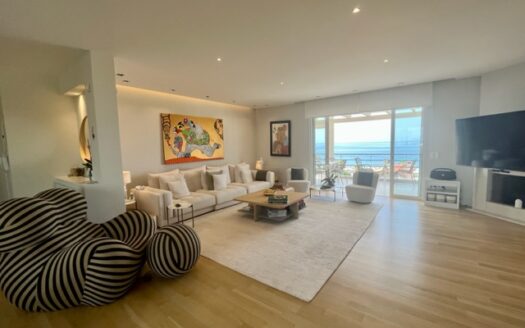 SEA VIEW APARTMENT
