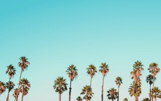 OFFICE SPACE-GLYFADA