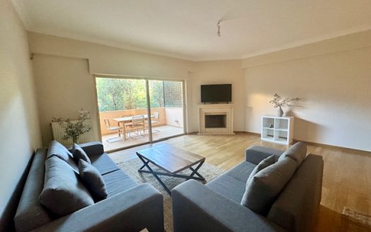 GLYFADA-CENTER FURNISHED APARTMENT