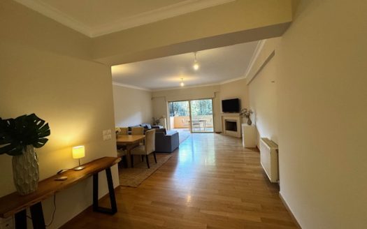 GLYFADA-CENTER FURNISHED APARTMENT