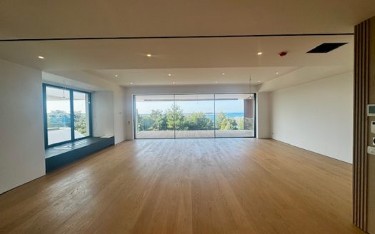 VOULA-LUXURY APARTMENT WITH SEA VIEW