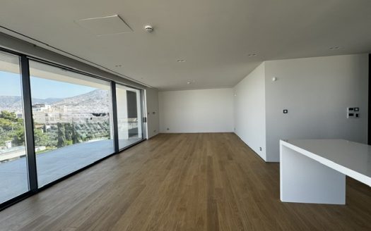 GLYFADA-CENTER LUXURY APARTMENT A+